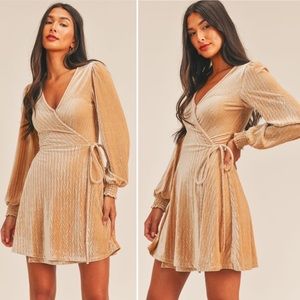 Angelica Pleated Velvet Wrap Dress